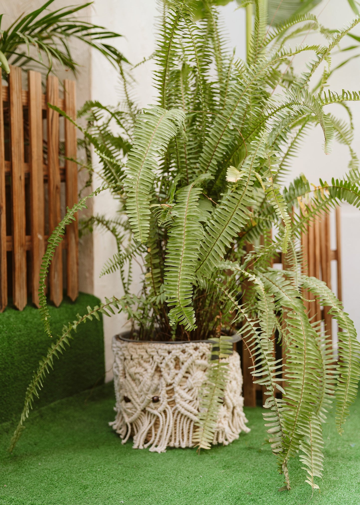 Braided Wicker Basket With Macreme