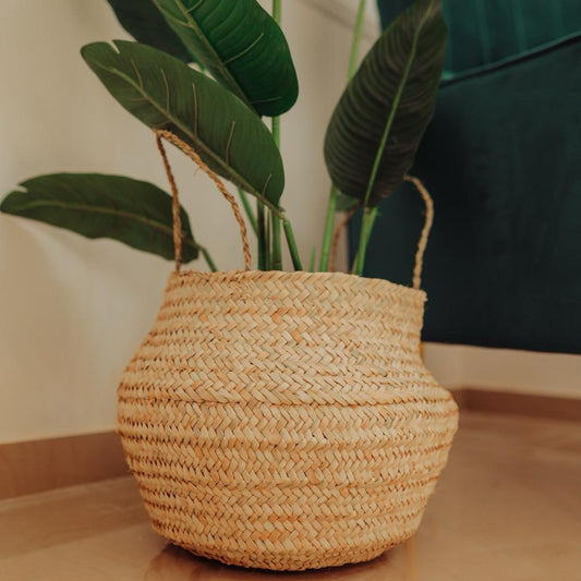 Wicker Plant Pot